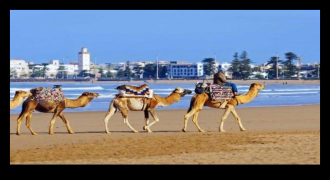 התחל למצוינות מדריך הטיולים האולטימטיבי למקומות המדהימים בעולם 3 התחל למצוינות: מדריך הטיולים האולטימטיבי