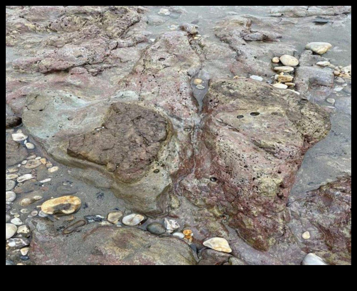 נחשפו עקבות: חקור את העולם צעד אחר צעד