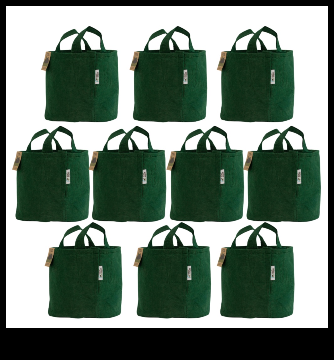 הקנבס הירוק שבו רעיונות משתרשים וגדלים לפתרונות ברי קיימא 2 הקנבס הירוק: המקום שבו רעיונות הופכים למציאות ידידותית לסביבה