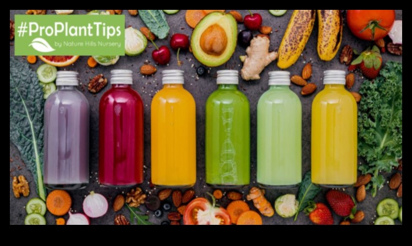 סימפוני גן כיצד להרמוני טעמים ביצירת מיץ הירקות שלך 4 סימפוניית גן: הרמוניזציה של טעמים ביצירת מיץ הירקות שלך