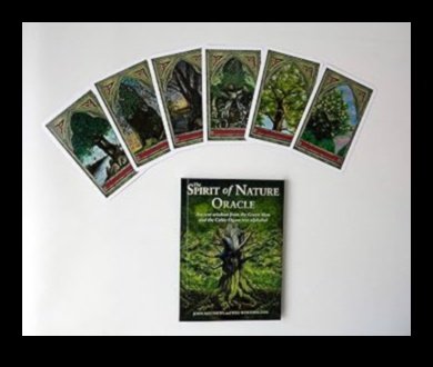 אורקלים בחוץ מתחברים לטבע ומוצאים את החוכמה הפנימית שלך 3 אורקלס בחוץ: חוכמה למסעות הטבע שלך