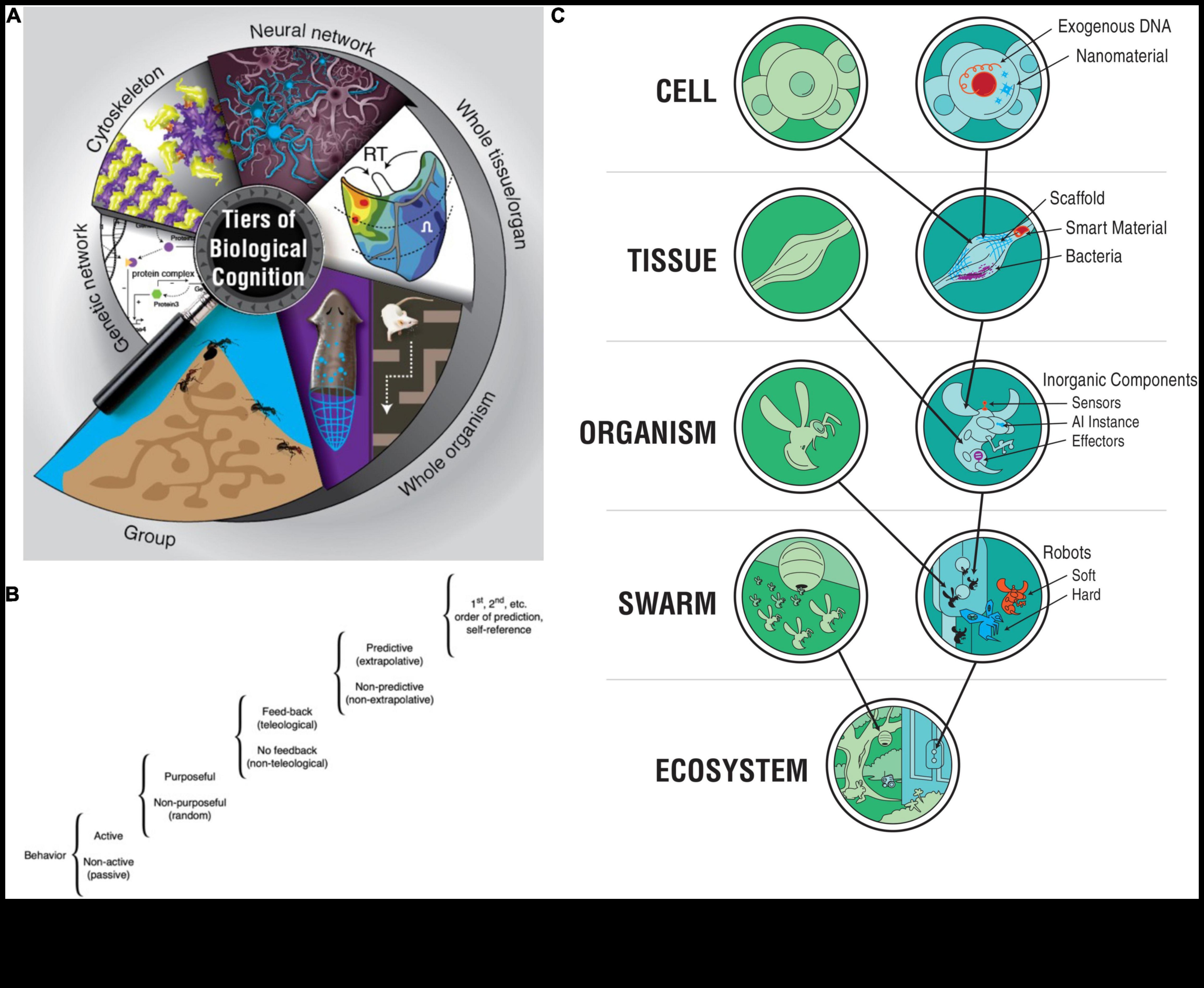 מעבר לגבולות גנטיים: דחיפת גבולות בחקר ביוטכנולוגי מודרני
