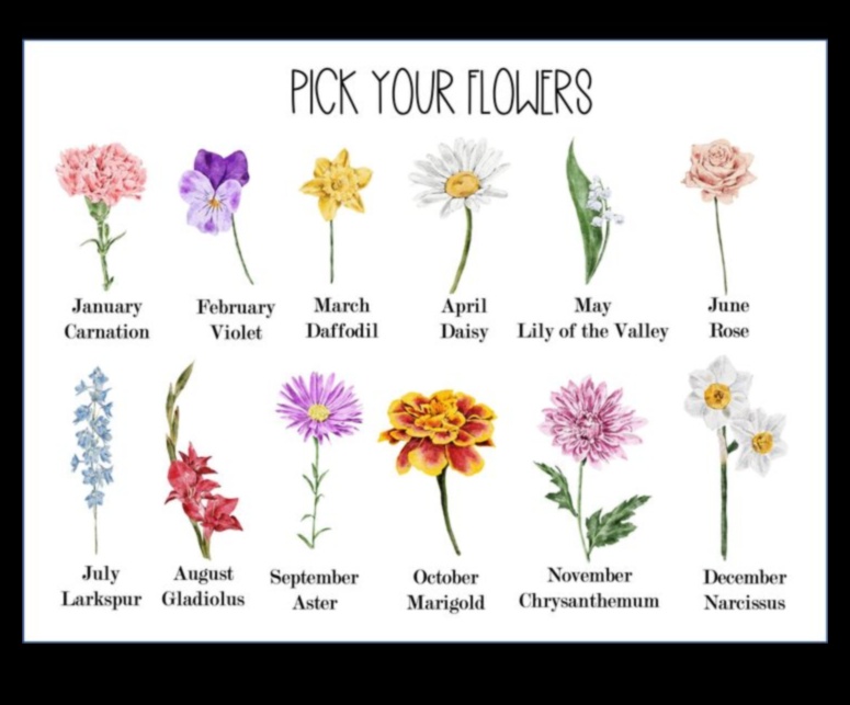 Blooming Bonds מבחר מתנות ממוקדות פרחים לאמא 4 קשרים פורחים: מבחר מתנות ממוקדות פרחים לאמא