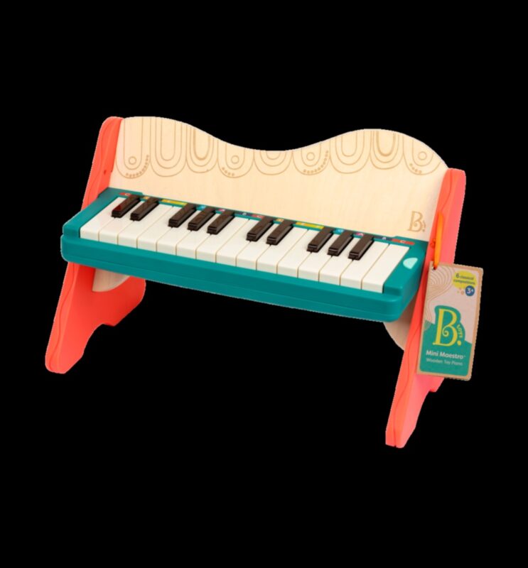 מאסטרו מוזיקלי: כלים וציוד לאוהבי המוזיקה