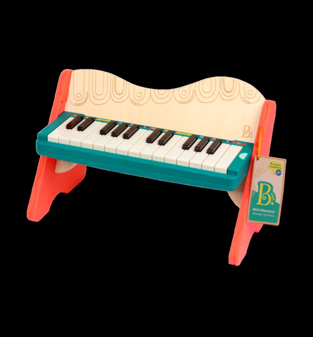 מאסטרו מוזיקלי: כלים וציוד לאוהבי המוזיקה