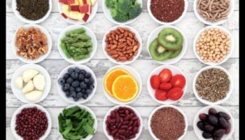 סימפוניה של מזון על: שילוב של תחנות כוח ירוקות לתזונה אולטימטיבית