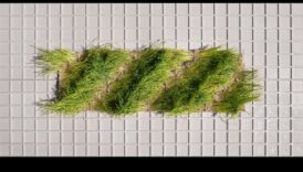 הקנבס הירוק: המקום שבו רעיונות הופכים למציאות ידידותית לסביבה