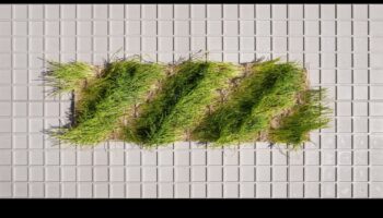 הקנבס הירוק: המקום שבו רעיונות הופכים למציאות ידידותית לסביבה