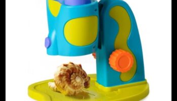 Whiz Kid Wonders: צעצועי STEM עבור מוחות סקרנים